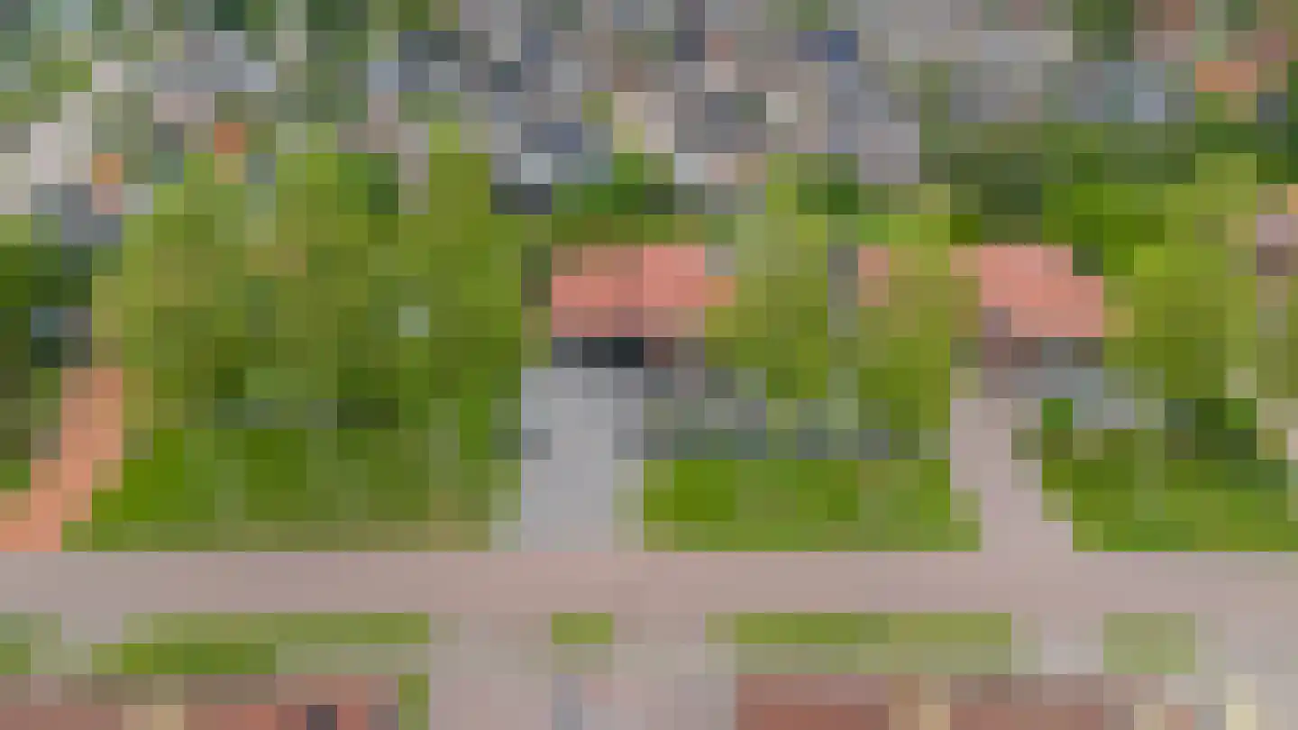 Veenmoslaan 12 Nieuw-Buinen thumbnail 69