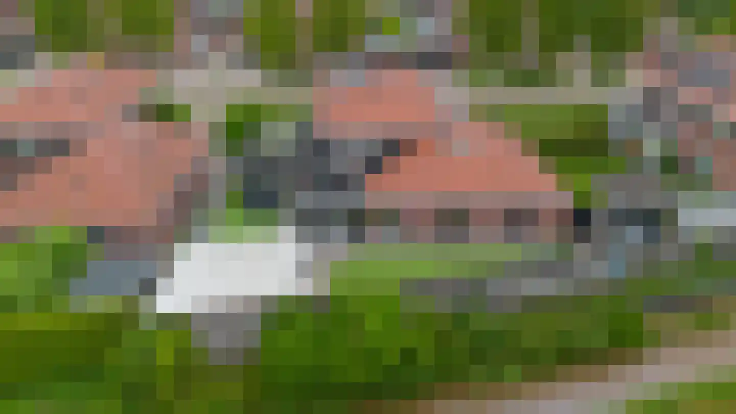 Veenmoslaan 12 Nieuw-Buinen thumbnail 71