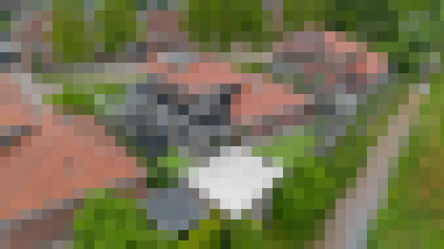 Veenmoslaan 12 Nieuw-Buinen thumbnail 72