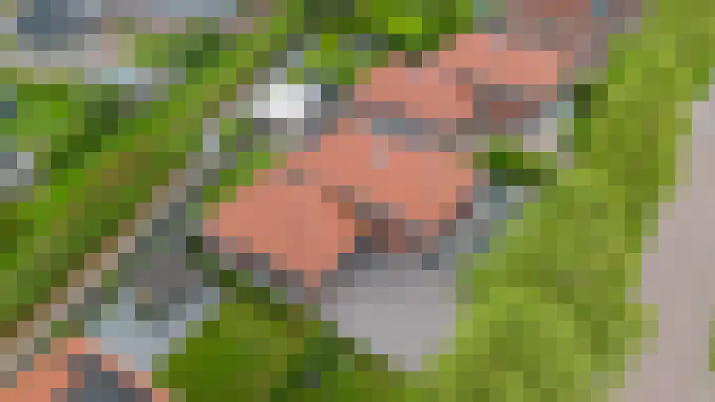 Veenmoslaan 12 Nieuw-Buinen thumbnail 73