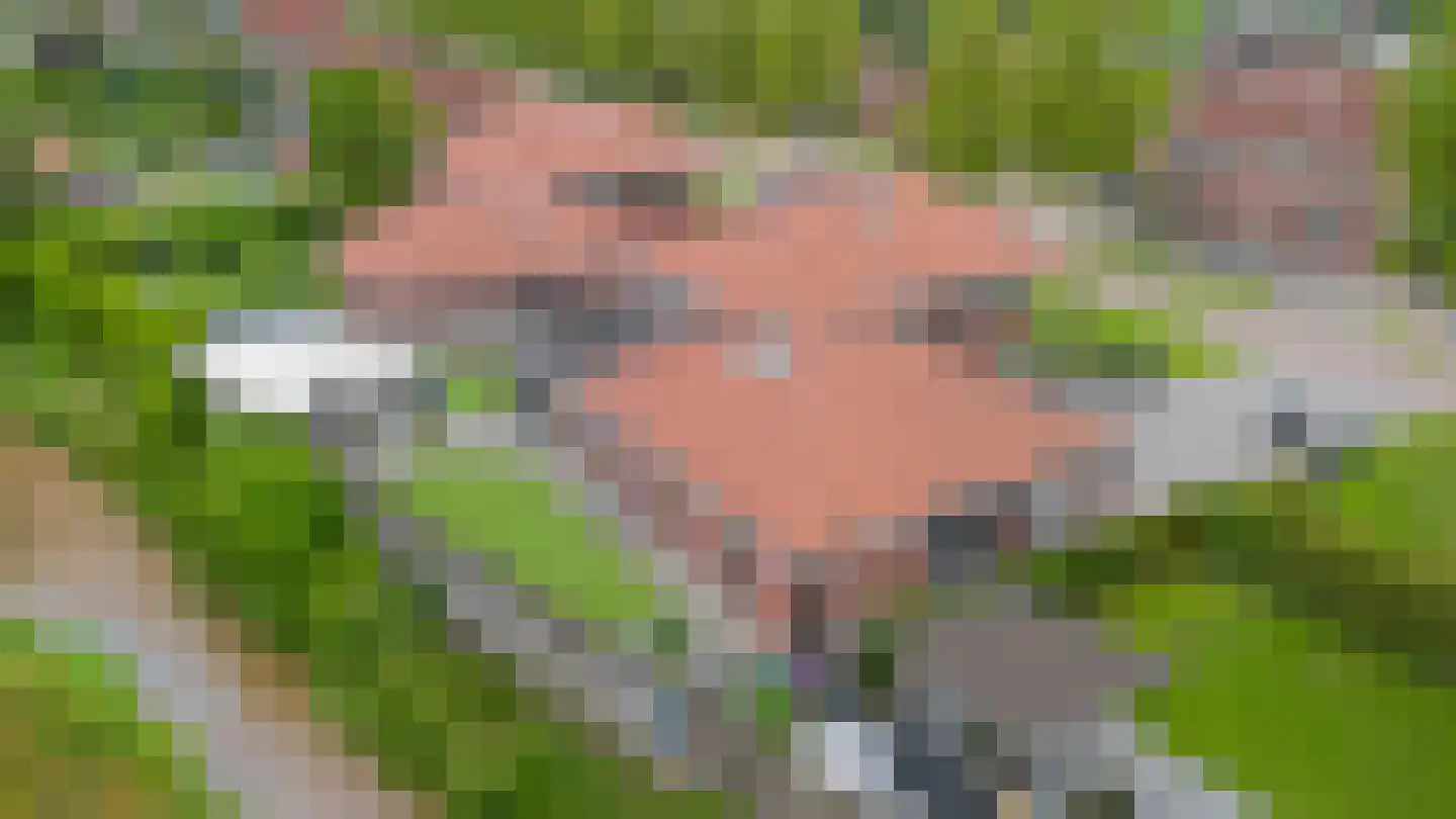 Veenmoslaan 12 Nieuw-Buinen thumbnail 74