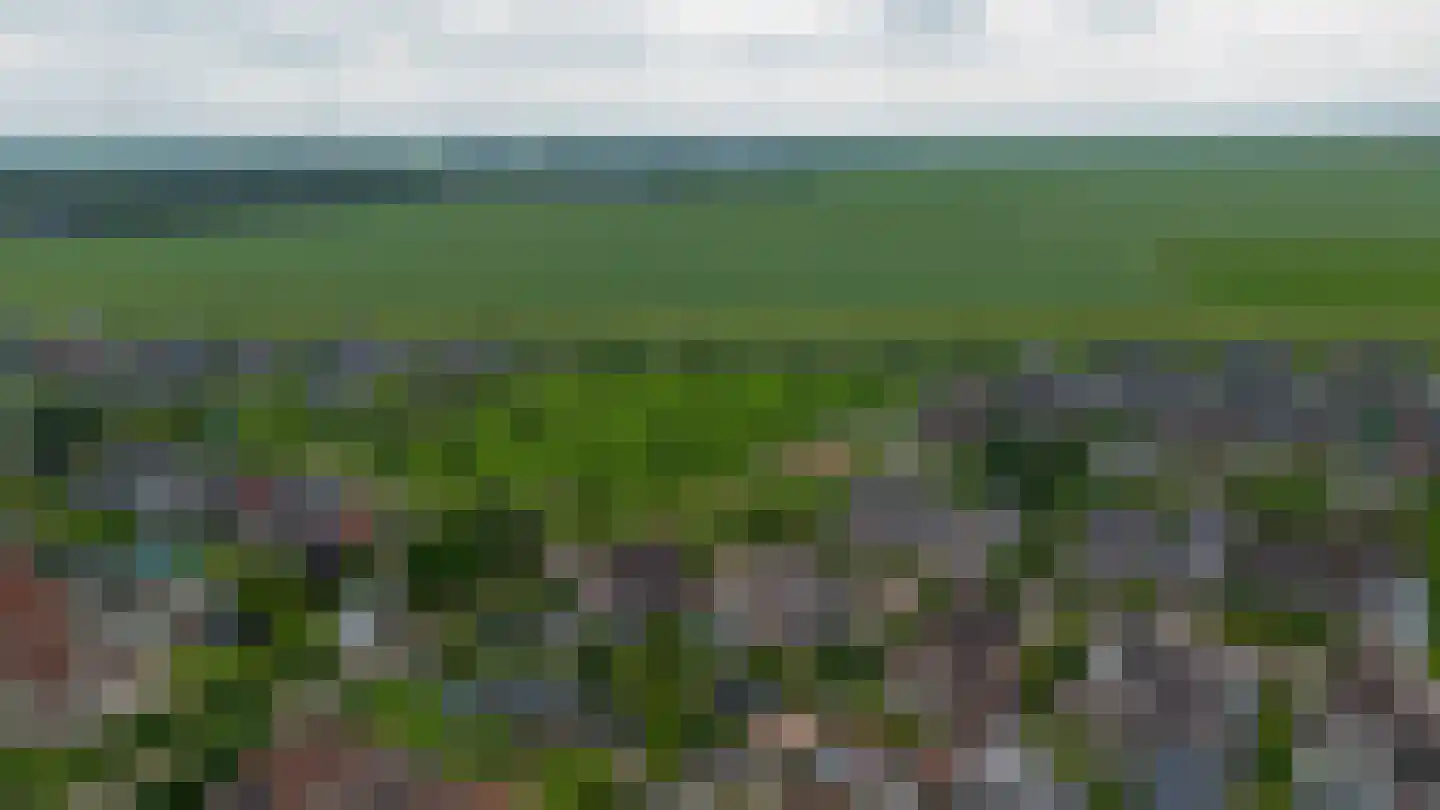 Veenmoslaan 12 Nieuw-Buinen thumbnail 76