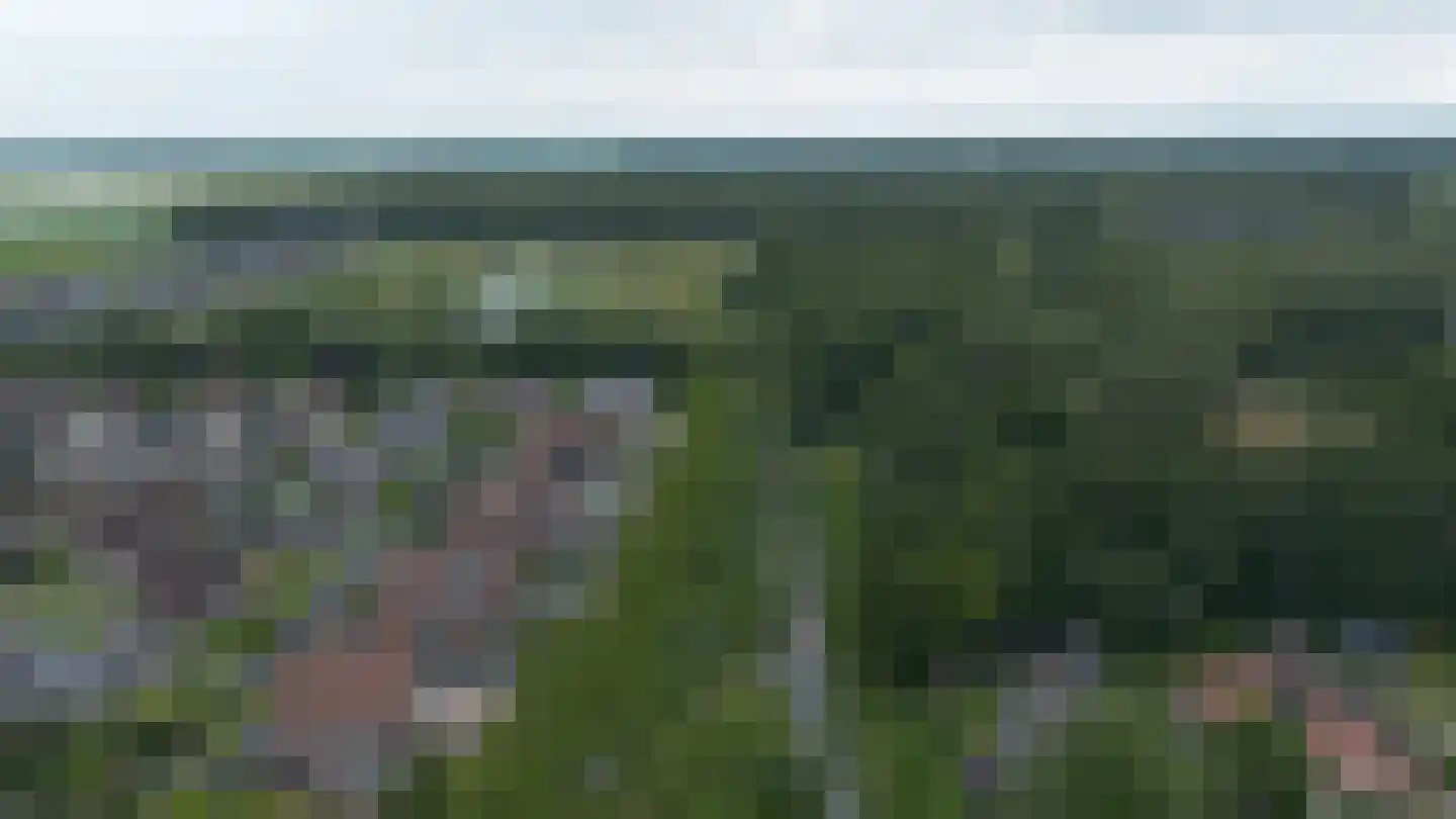Veenmoslaan 12 Nieuw-Buinen thumbnail 77