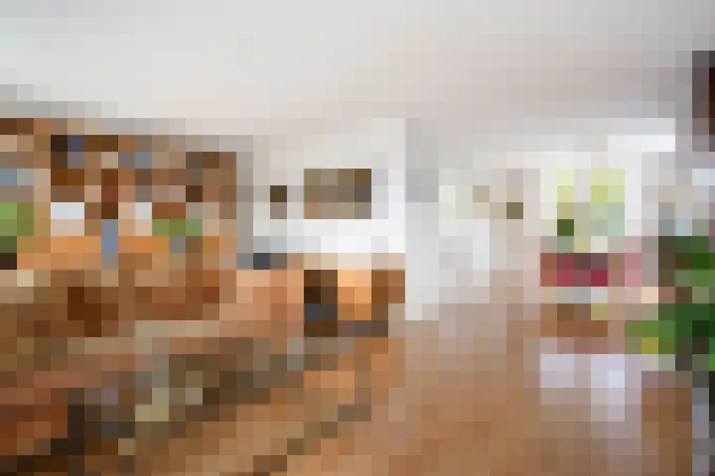 Veenmoslaan 4 Nieuw-Buinen thumbnail 15