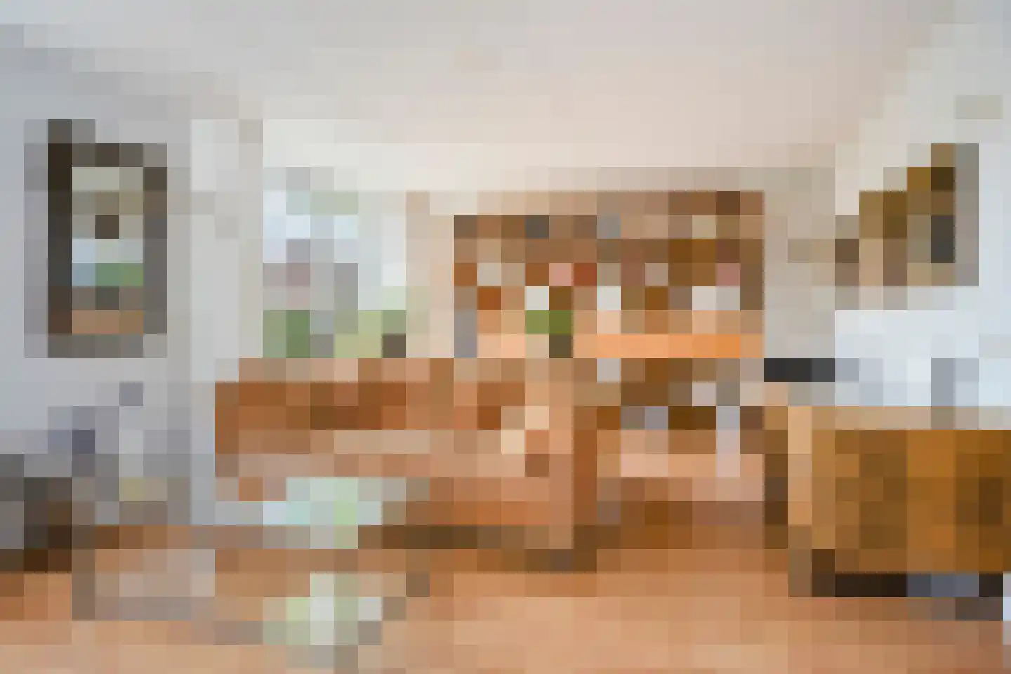 Veenmoslaan 4 Nieuw-Buinen thumbnail 16