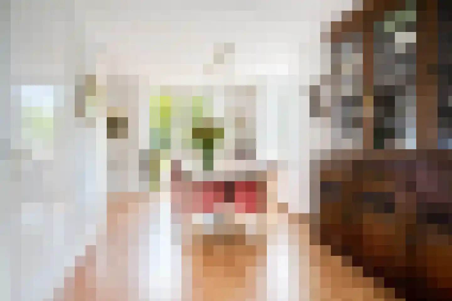 Veenmoslaan 4 Nieuw-Buinen thumbnail 18