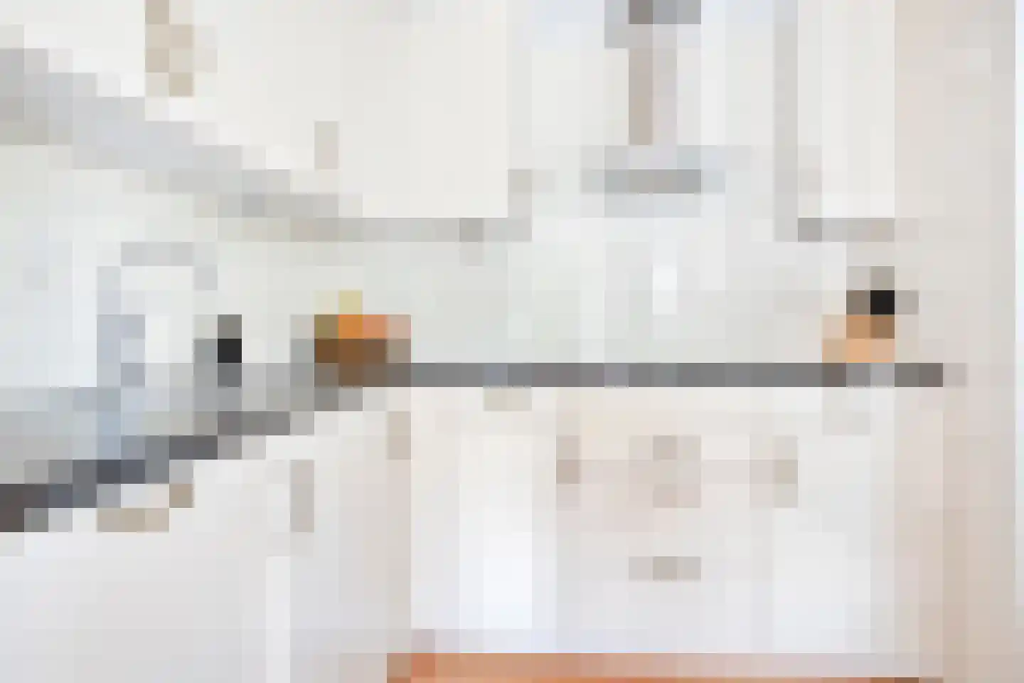 Veenmoslaan 4 Nieuw-Buinen thumbnail 21