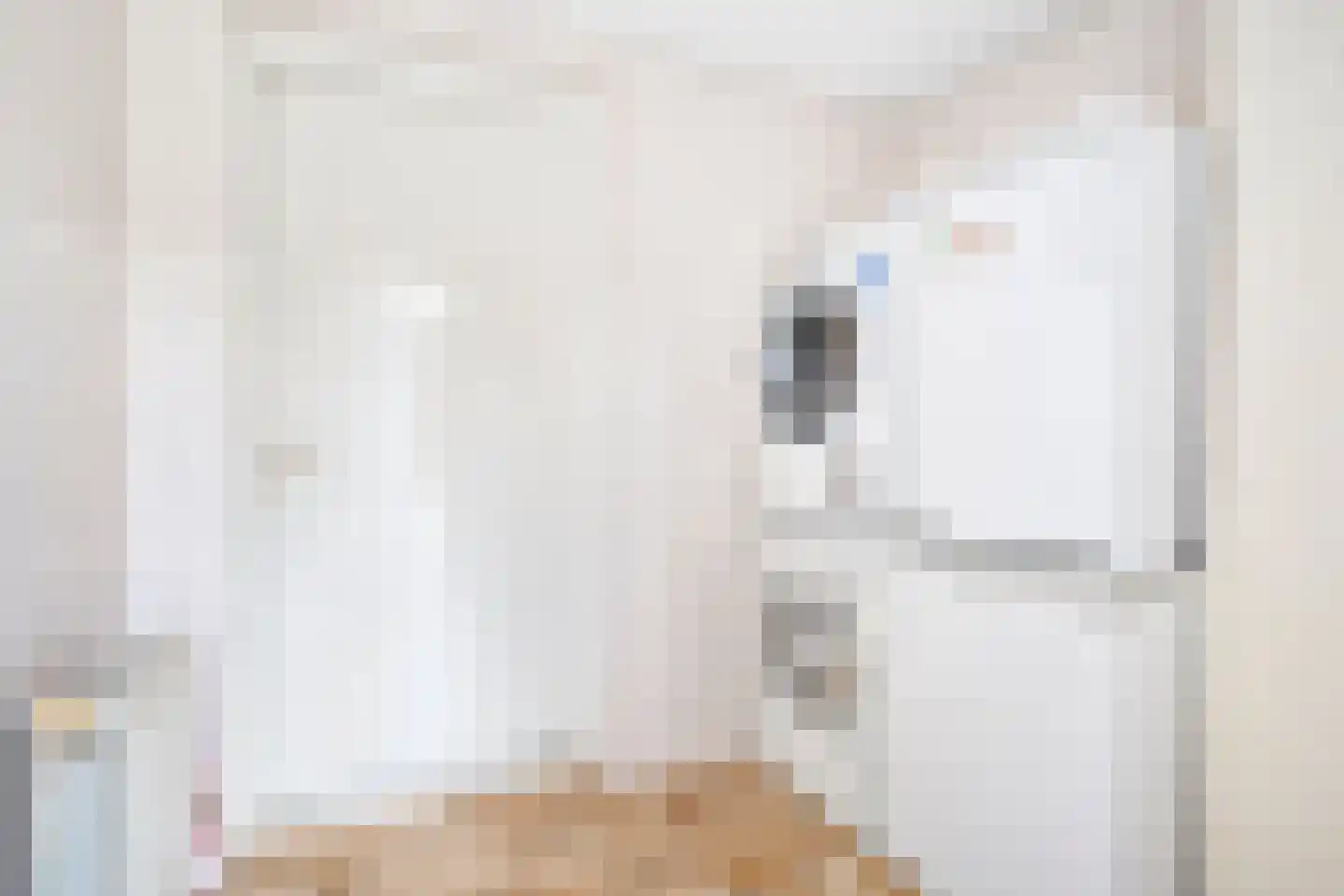 Veenmoslaan 4 Nieuw-Buinen thumbnail 23
