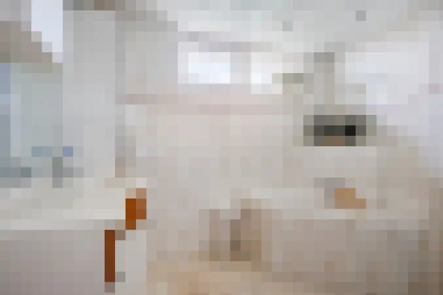 Veenmoslaan 4 Nieuw-Buinen thumbnail 27
