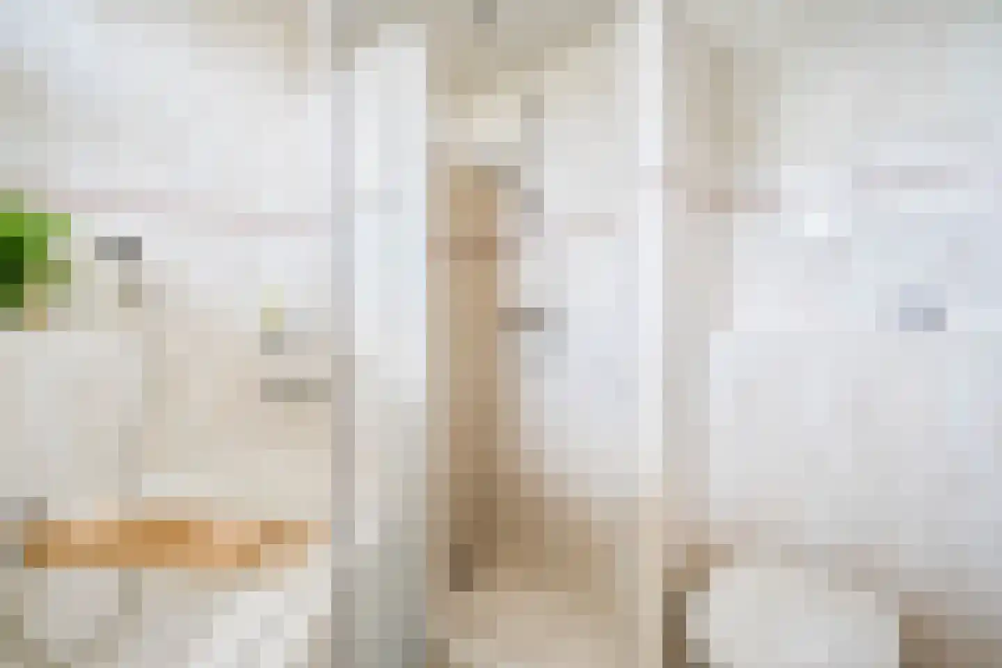 Veenmoslaan 4 Nieuw-Buinen thumbnail 28
