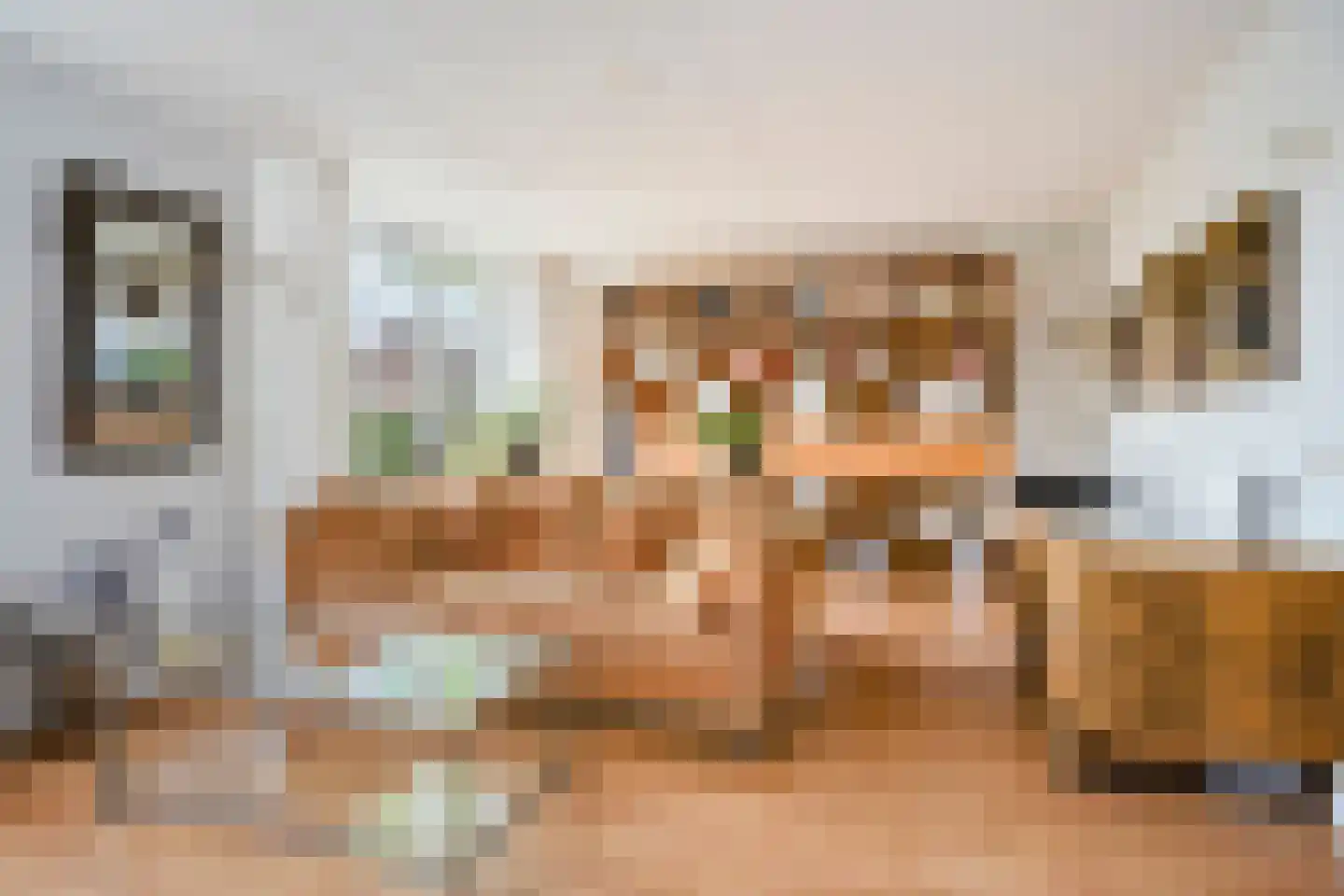 Veenmoslaan 4 Nieuw-Buinen foto 3
