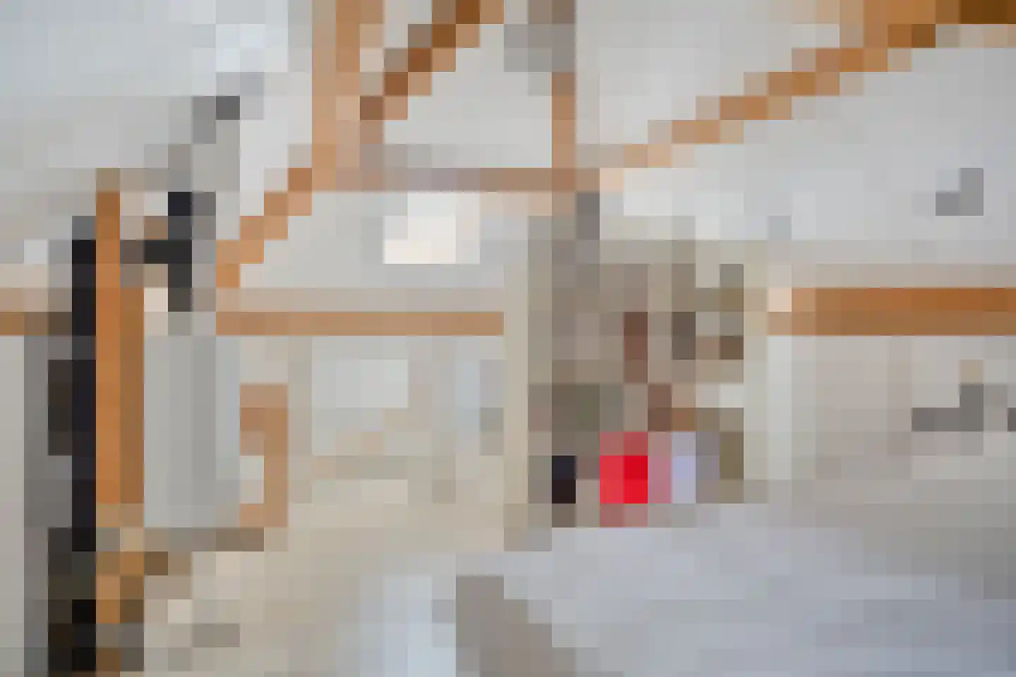 Veenmoslaan 4 Nieuw-Buinen thumbnail 33