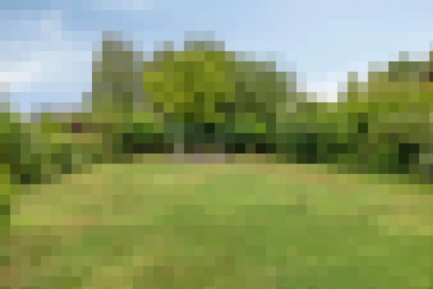 Veenmoslaan 4 Nieuw-Buinen thumbnail 35
