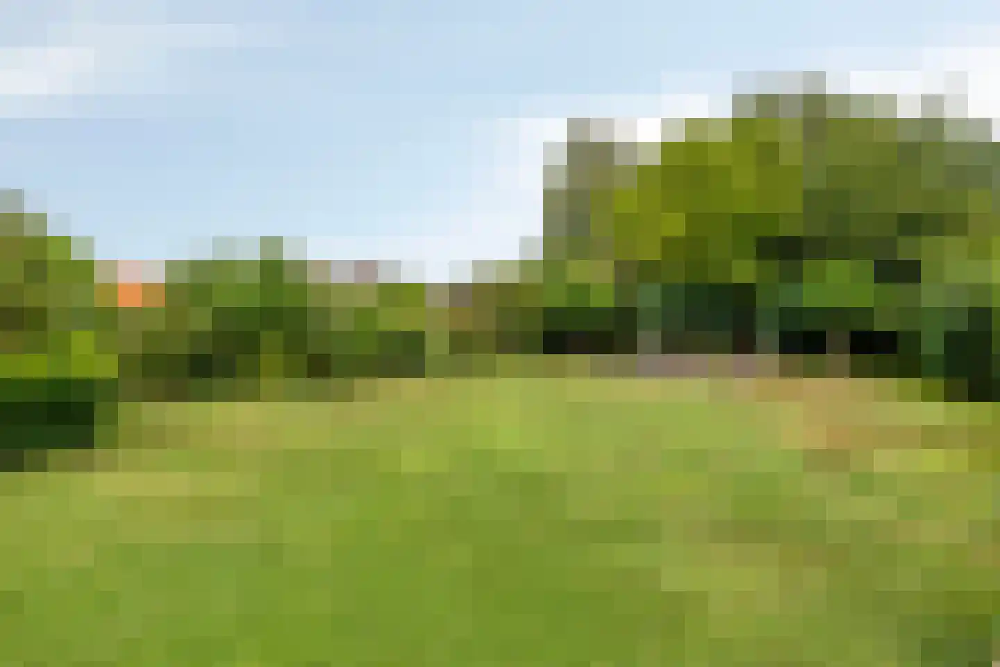 Veenmoslaan 4 Nieuw-Buinen thumbnail 36