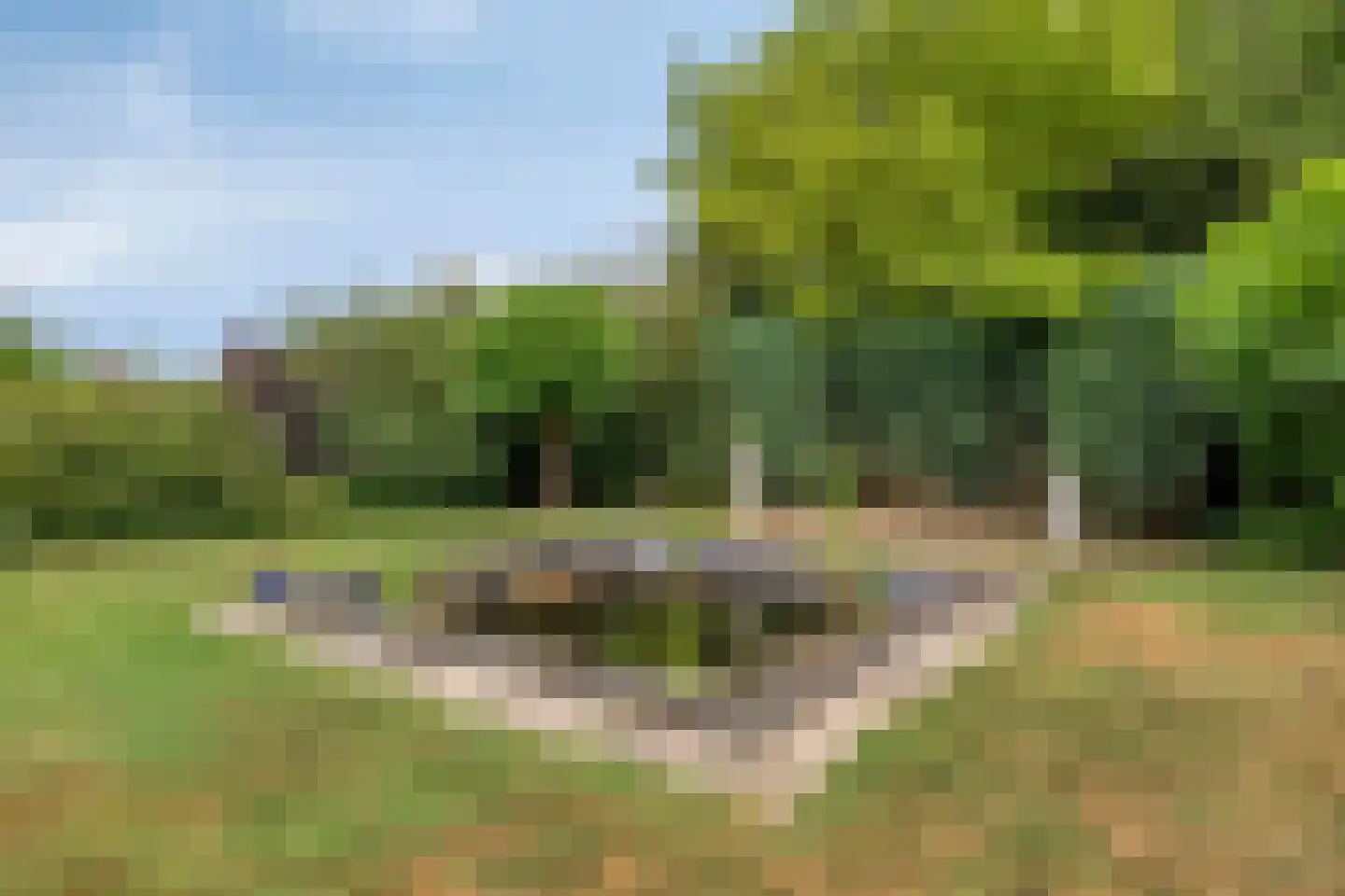 Veenmoslaan 4 Nieuw-Buinen thumbnail 38