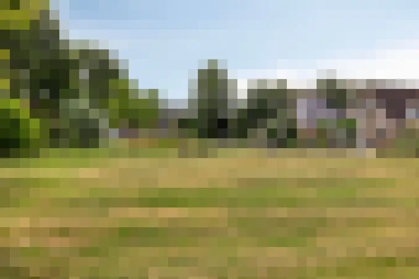 Veenmoslaan 4 Nieuw-Buinen thumbnail 41