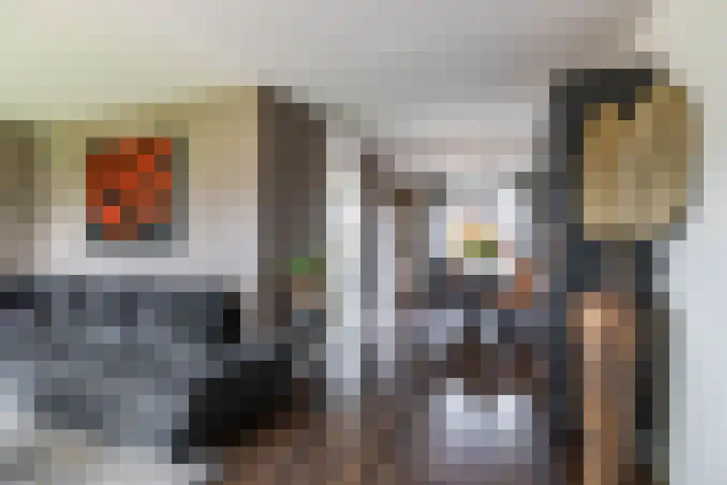 Veenmoslaan 7 Nieuw-Buinen thumbnail 22