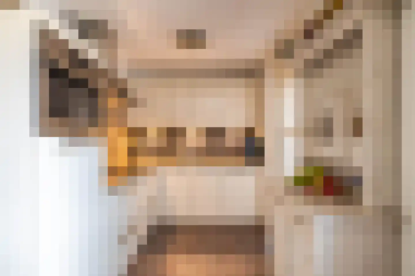 Veenmoslaan 7 Nieuw-Buinen thumbnail 26