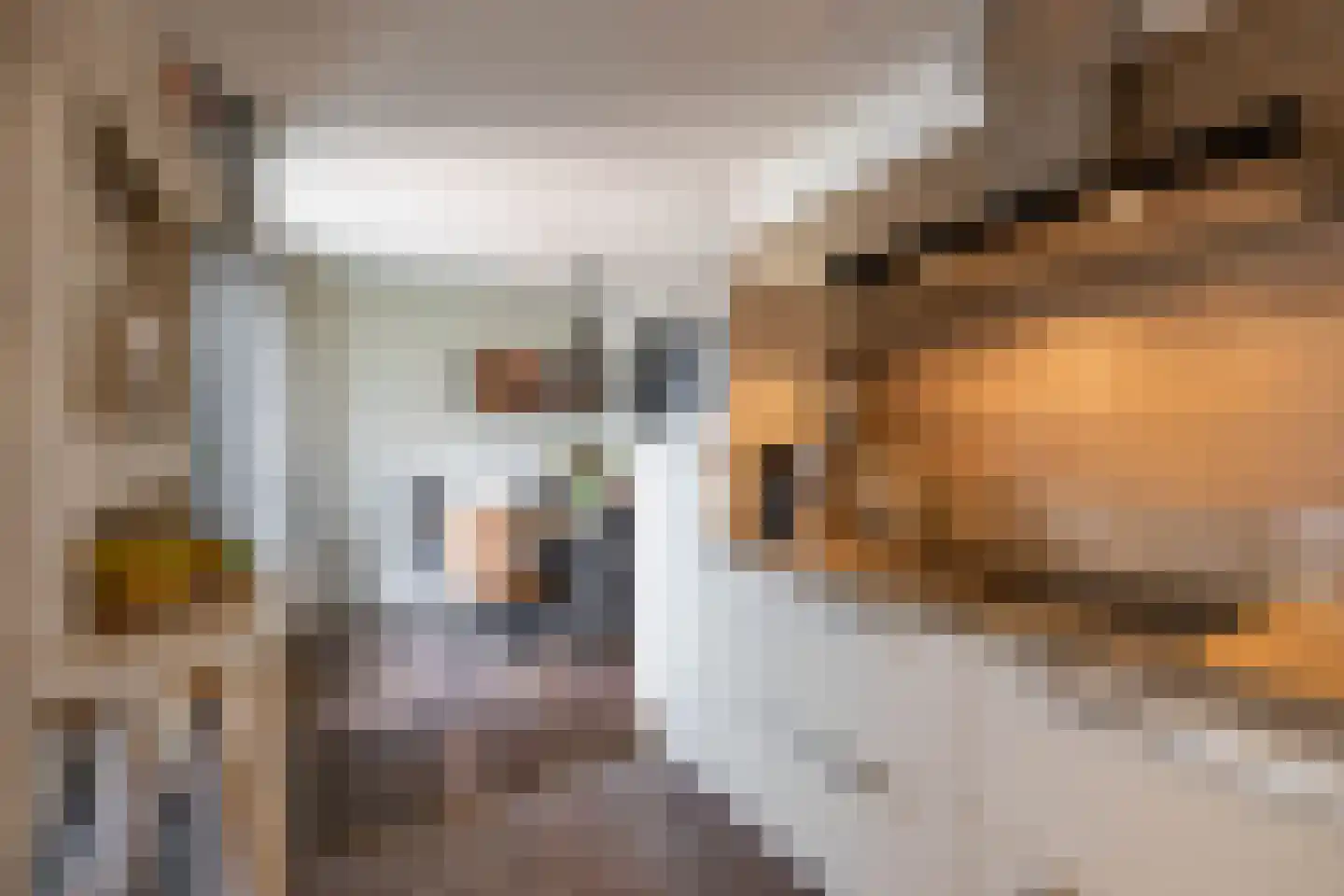 Veenmoslaan 7 Nieuw-Buinen thumbnail 28