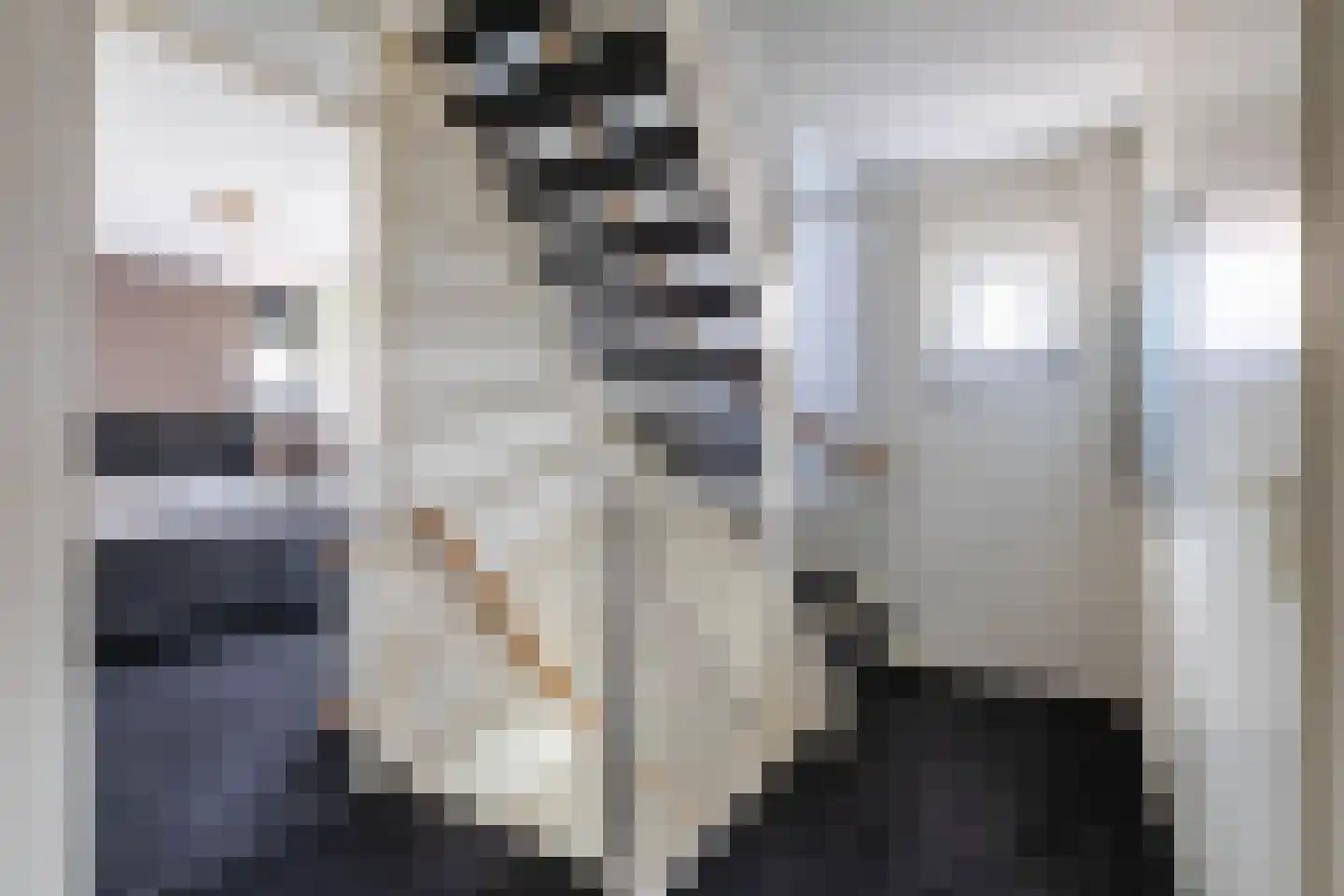 Veenmoslaan 7 Nieuw-Buinen thumbnail 32
