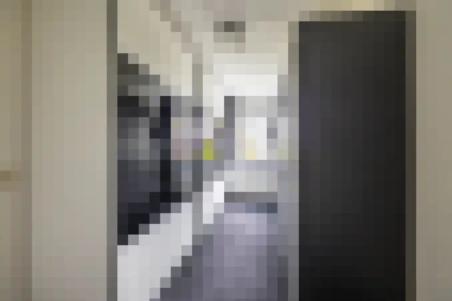 Veenmoslaan 7 Nieuw-Buinen thumbnail 38