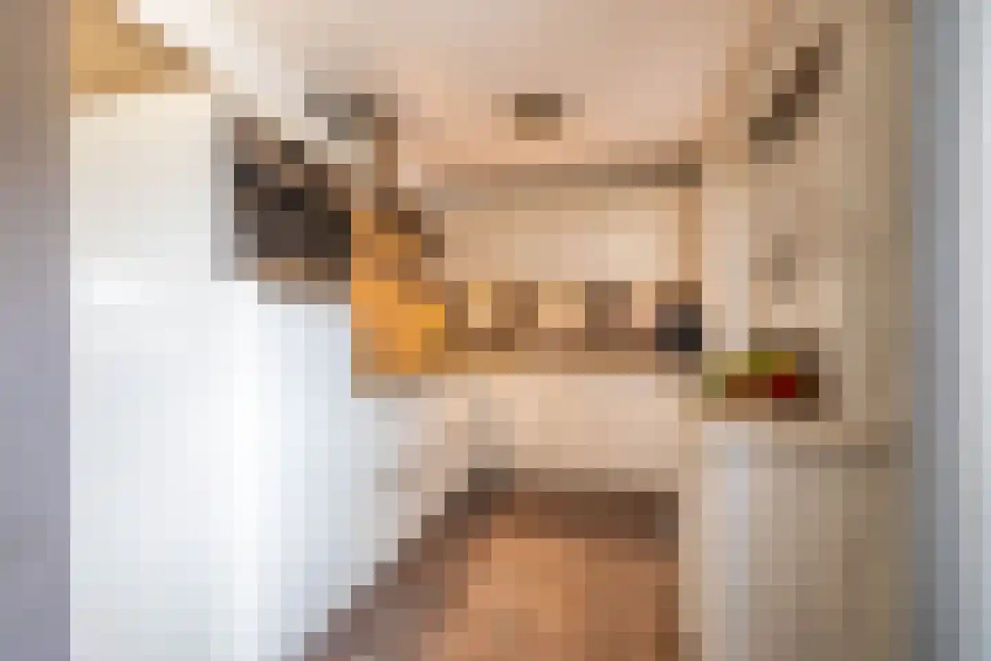 Veenmoslaan 7 Nieuw-Buinen thumbnail 4