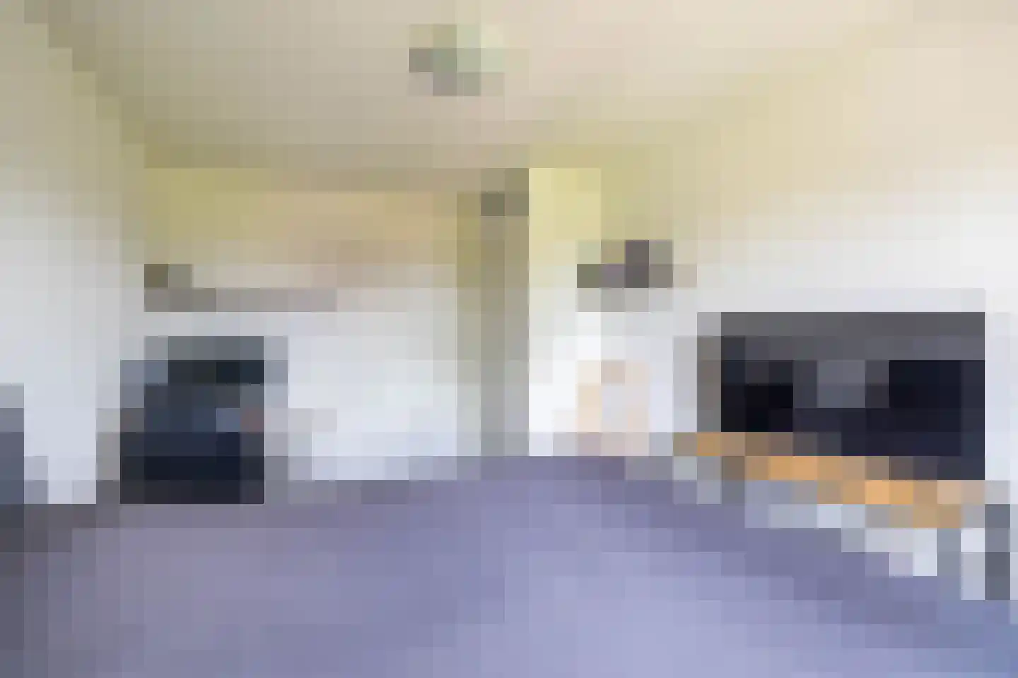 Veenmoslaan 7 Nieuw-Buinen thumbnail 40