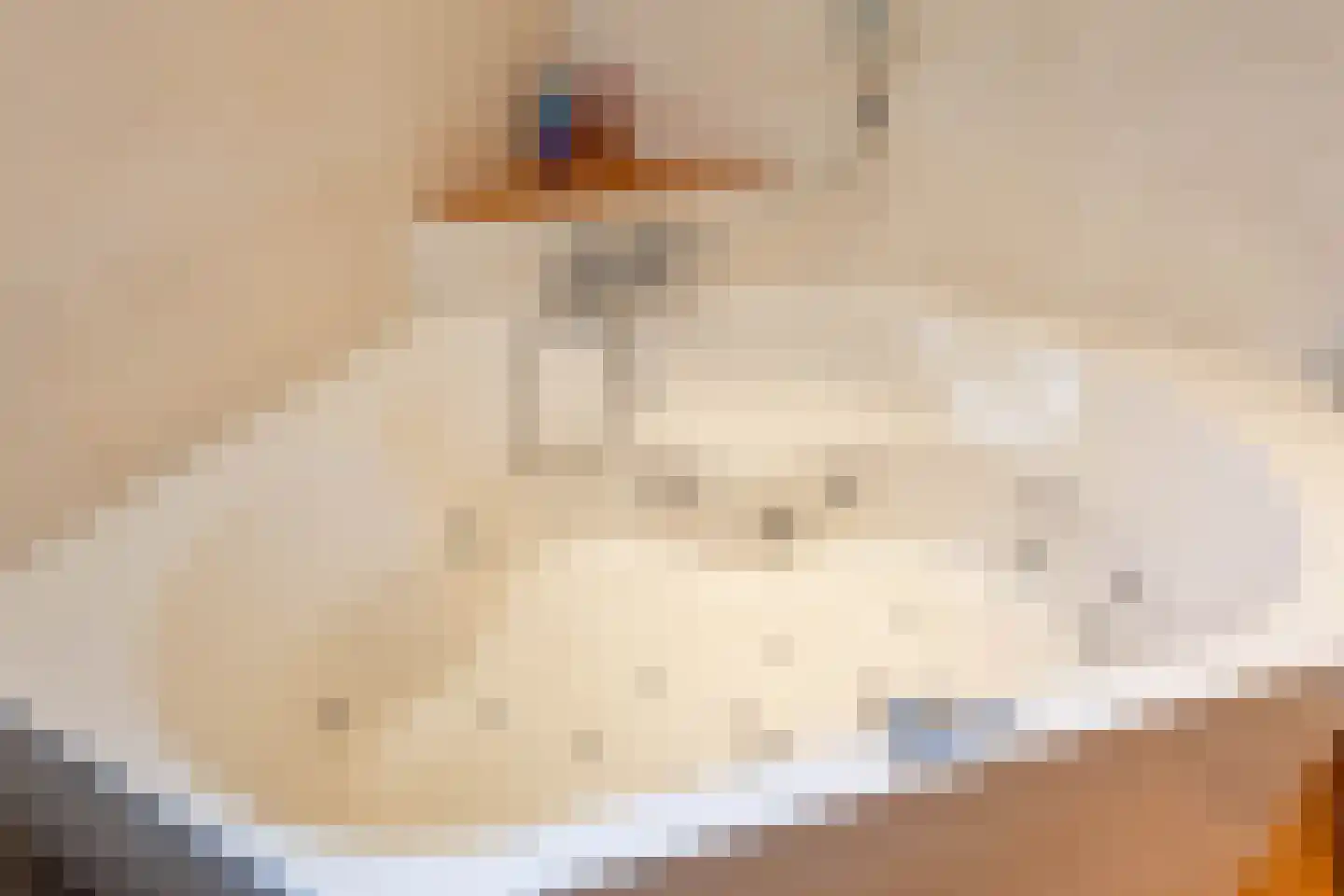 Veenmoslaan 7 Nieuw-Buinen thumbnail 42