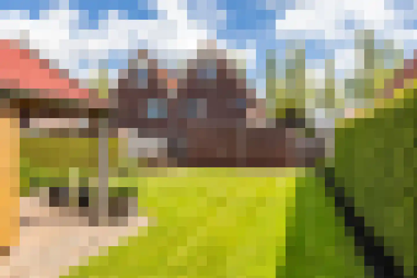 Veenmoslaan 7 Nieuw-Buinen thumbnail 50