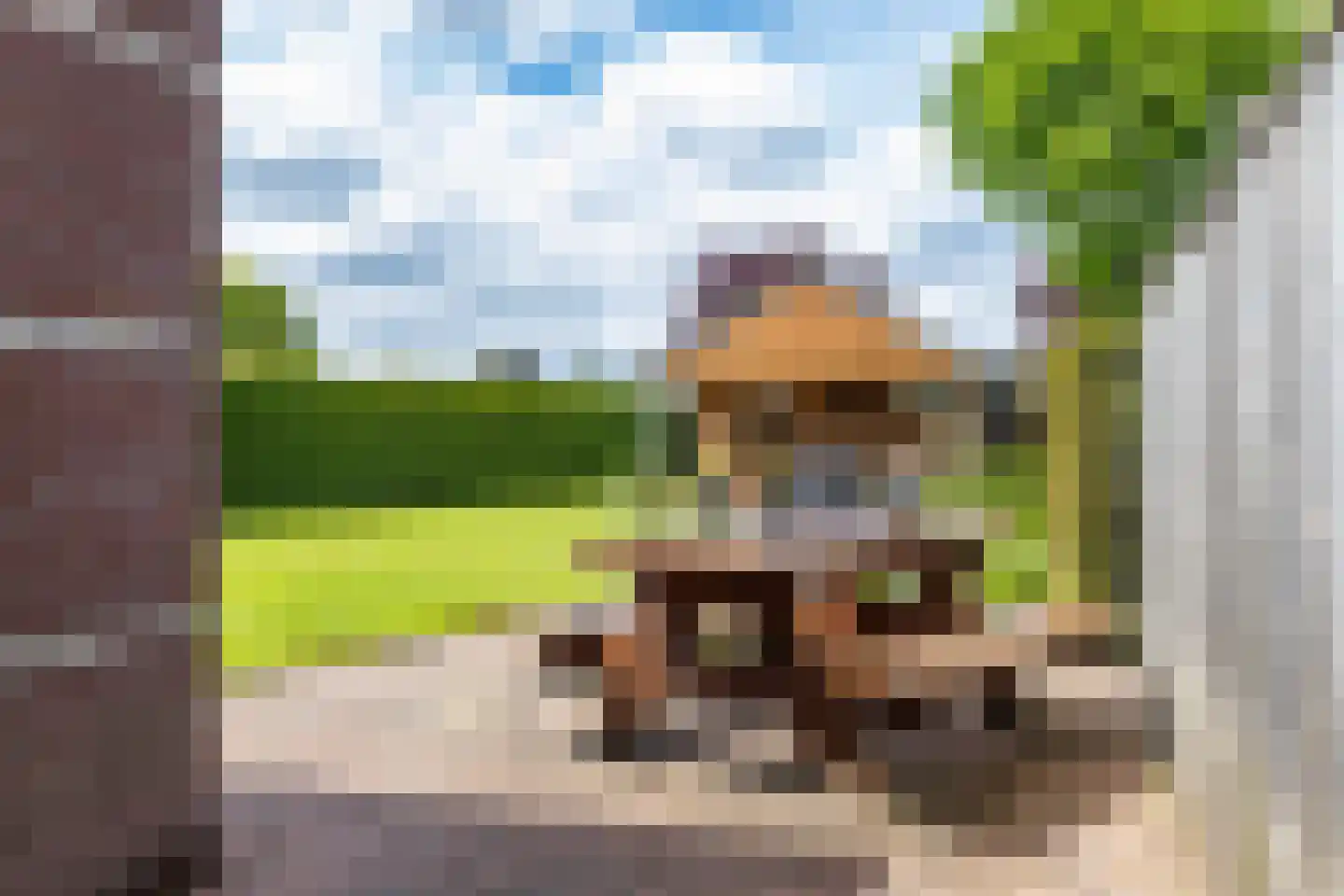 Veenmoslaan 7 Nieuw-Buinen thumbnail 51