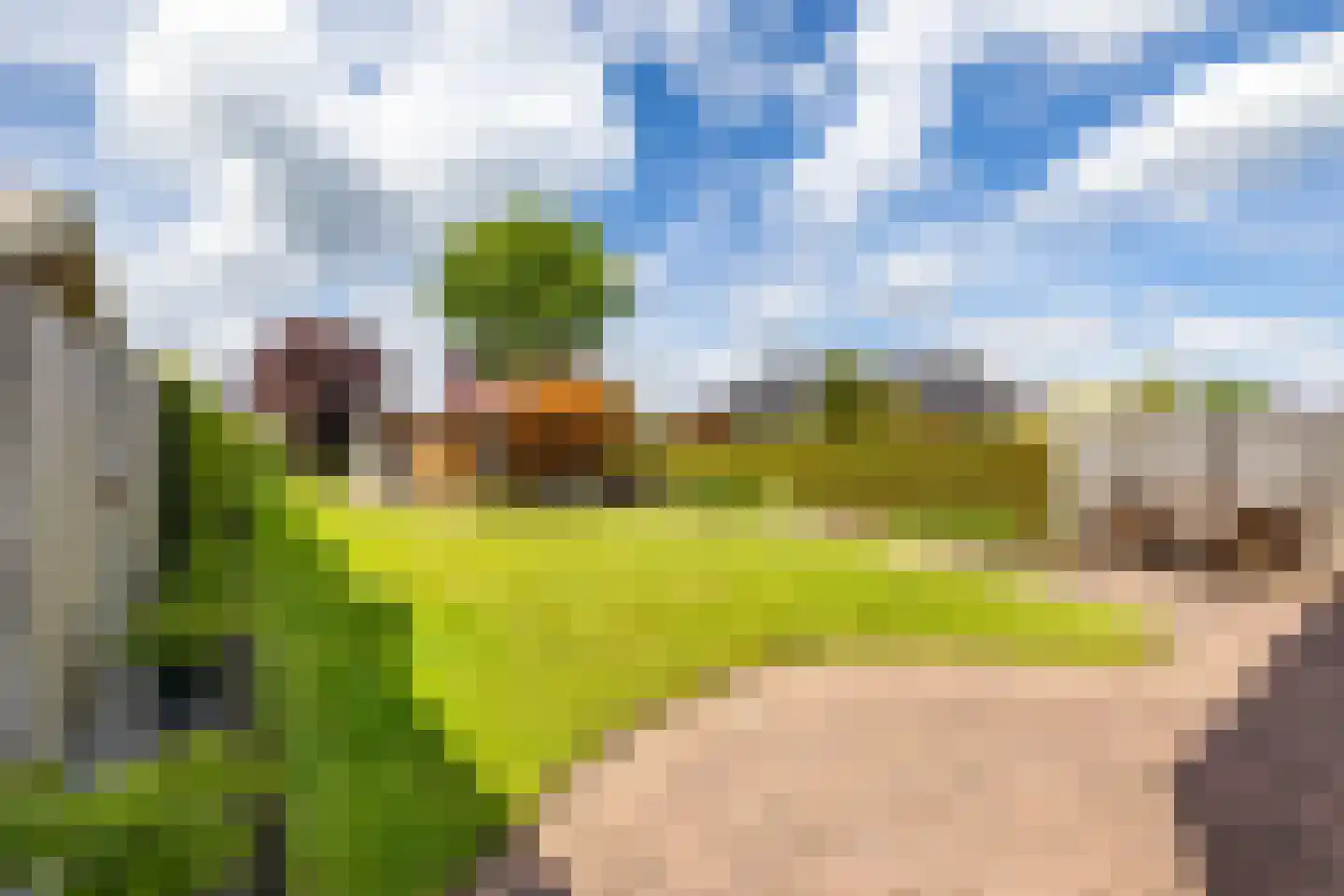 Veenmoslaan 7 Nieuw-Buinen thumbnail 52