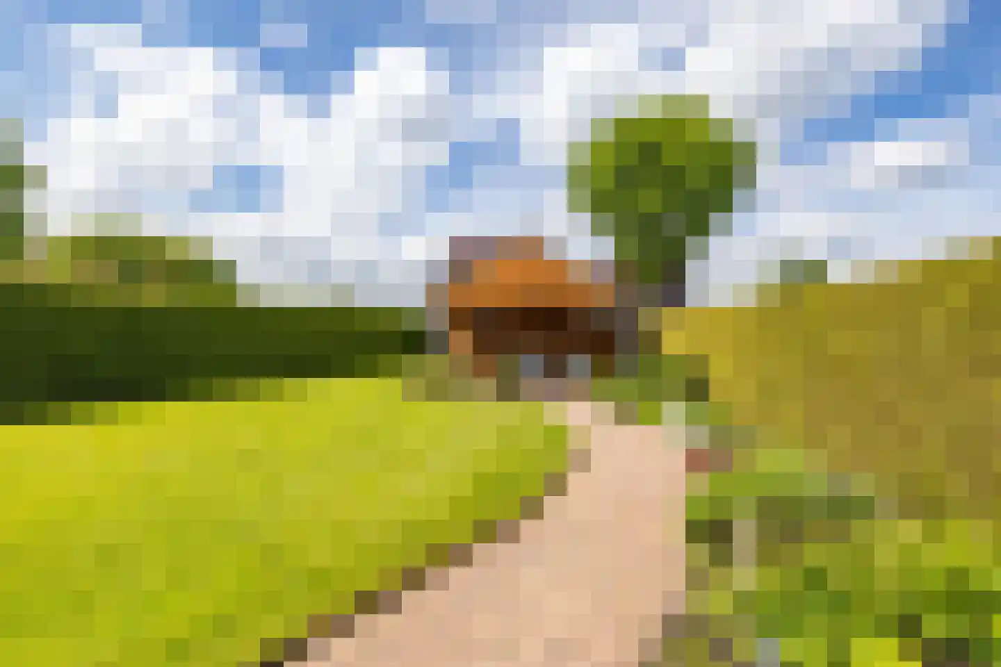 Veenmoslaan 7 Nieuw-Buinen thumbnail 53