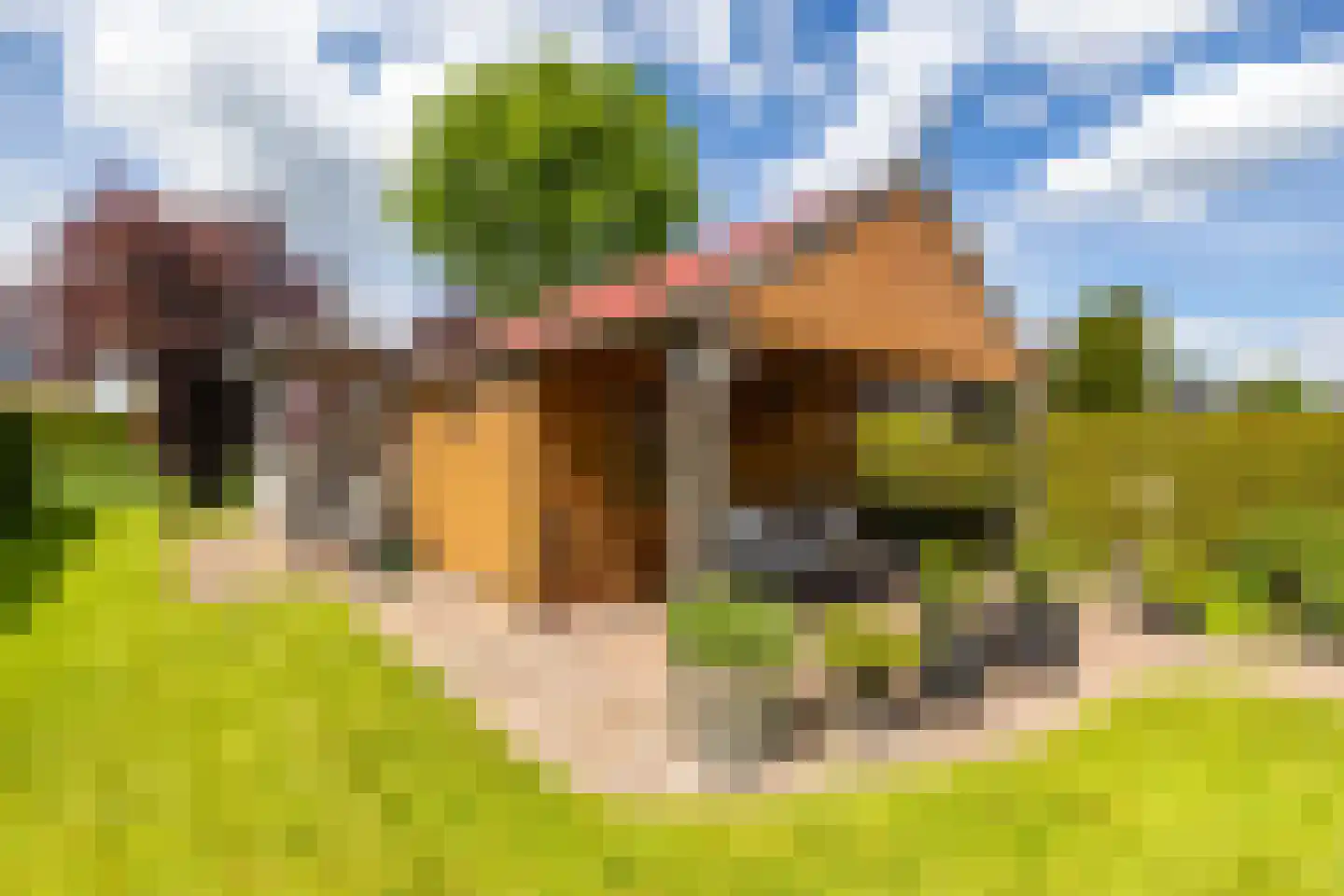 Veenmoslaan 7 Nieuw-Buinen thumbnail 54