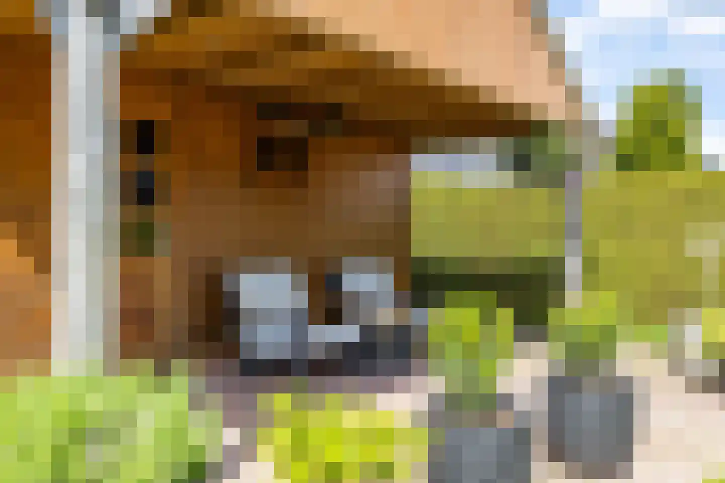 Veenmoslaan 7 Nieuw-Buinen thumbnail 55