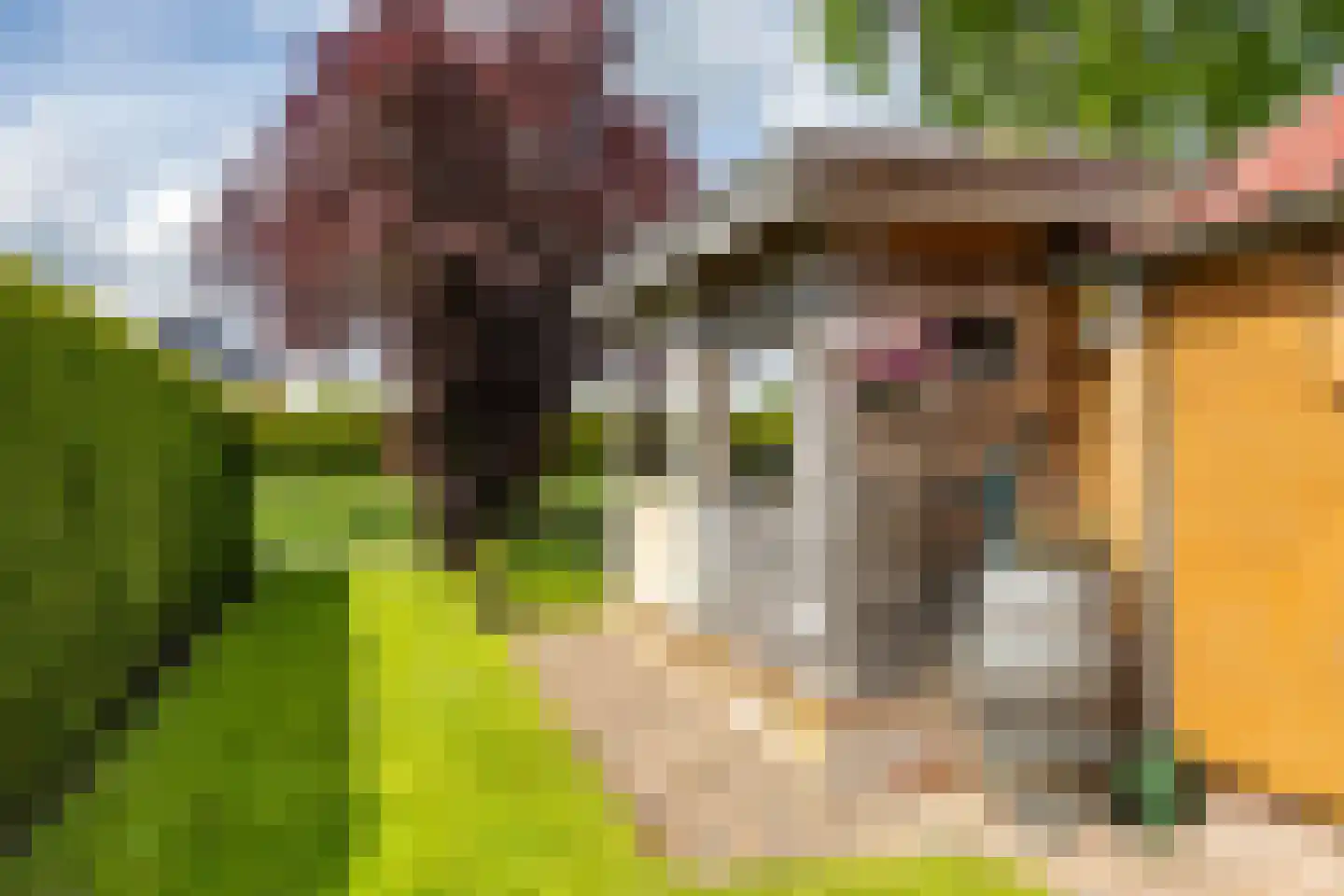 Veenmoslaan 7 Nieuw-Buinen thumbnail 56