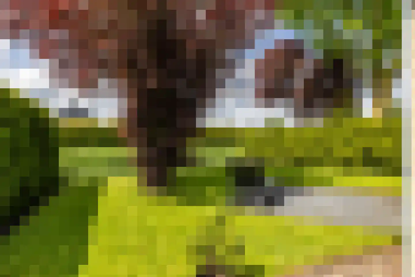 Veenmoslaan 7 Nieuw-Buinen thumbnail 57
