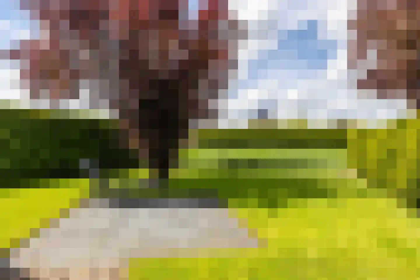 Veenmoslaan 7 Nieuw-Buinen thumbnail 58
