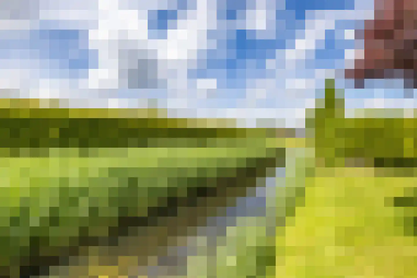 Veenmoslaan 7 Nieuw-Buinen thumbnail 59