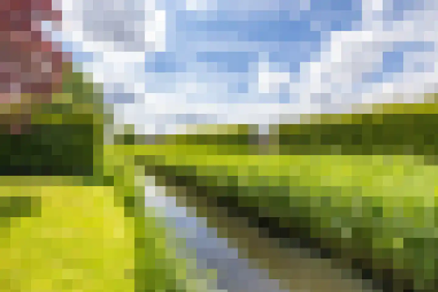 Veenmoslaan 7 Nieuw-Buinen thumbnail 60