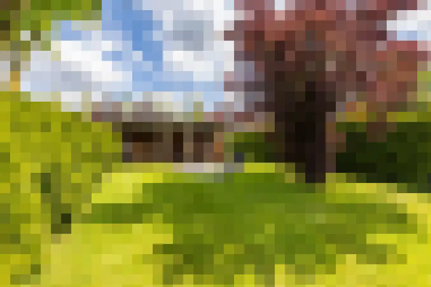 Veenmoslaan 7 Nieuw-Buinen thumbnail 61
