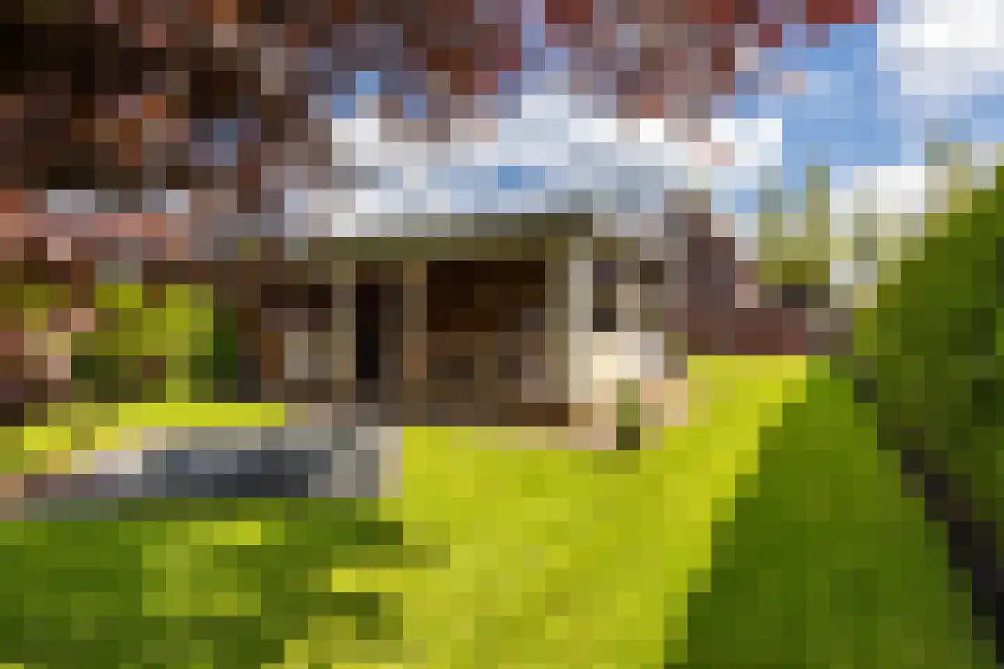 Veenmoslaan 7 Nieuw-Buinen thumbnail 62