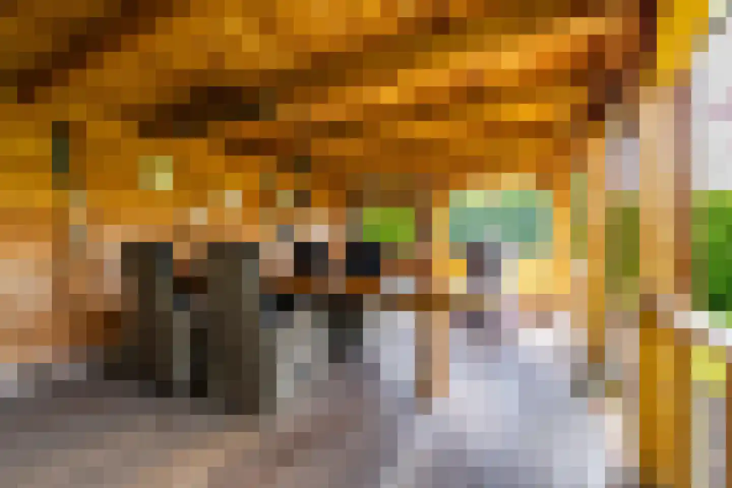 Veenmoslaan 7 Nieuw-Buinen thumbnail 63