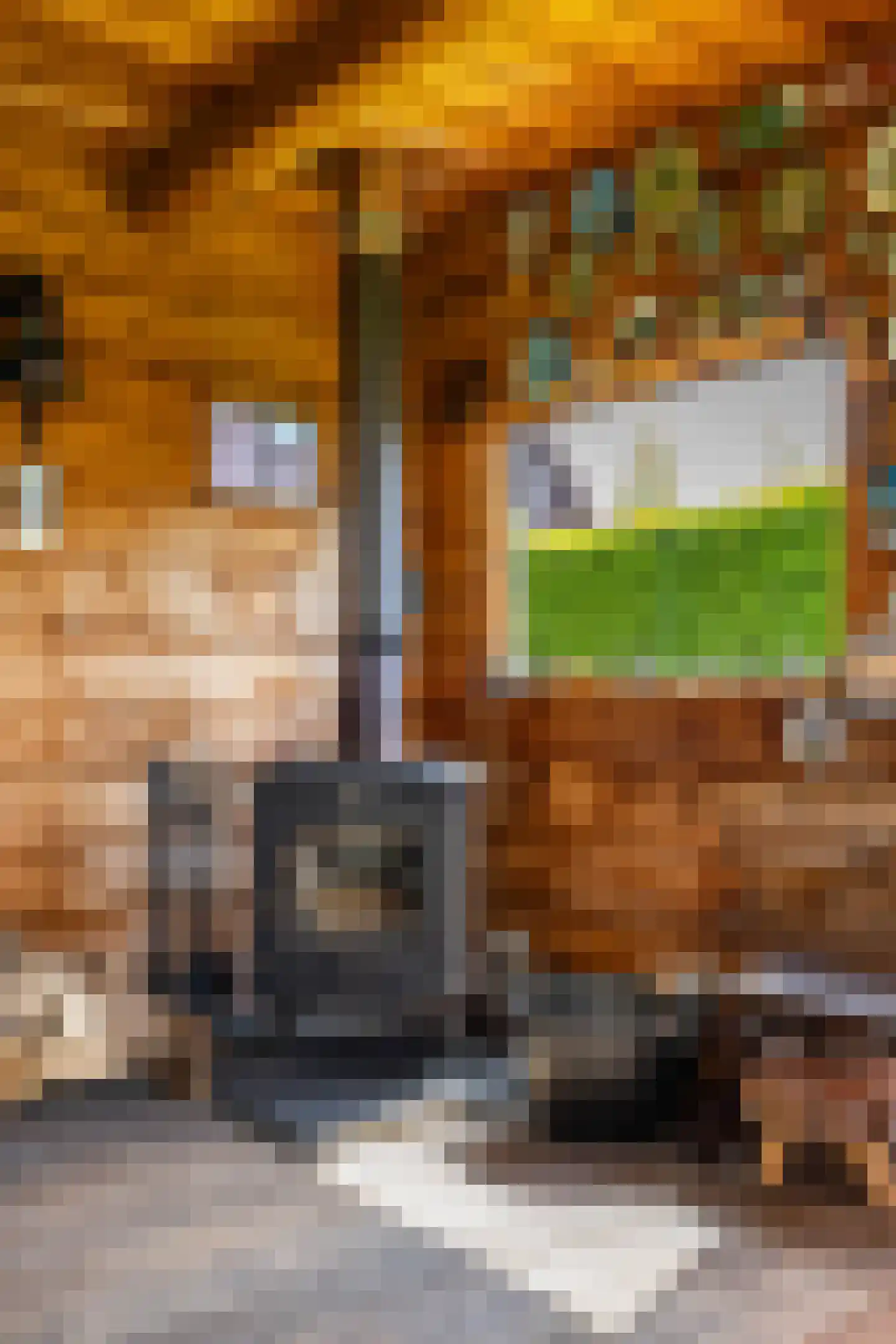 Veenmoslaan 7 Nieuw-Buinen thumbnail 64