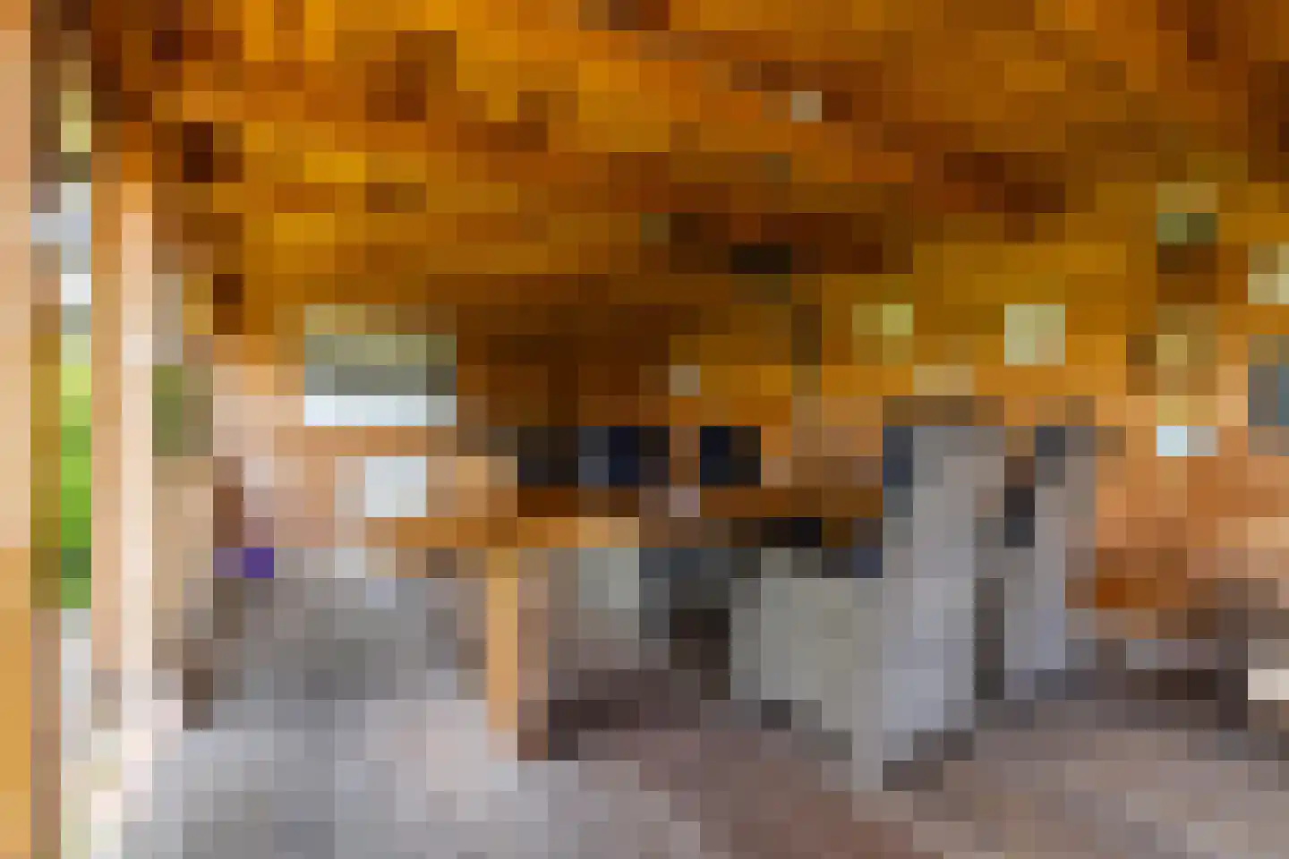 Veenmoslaan 7 Nieuw-Buinen thumbnail 65