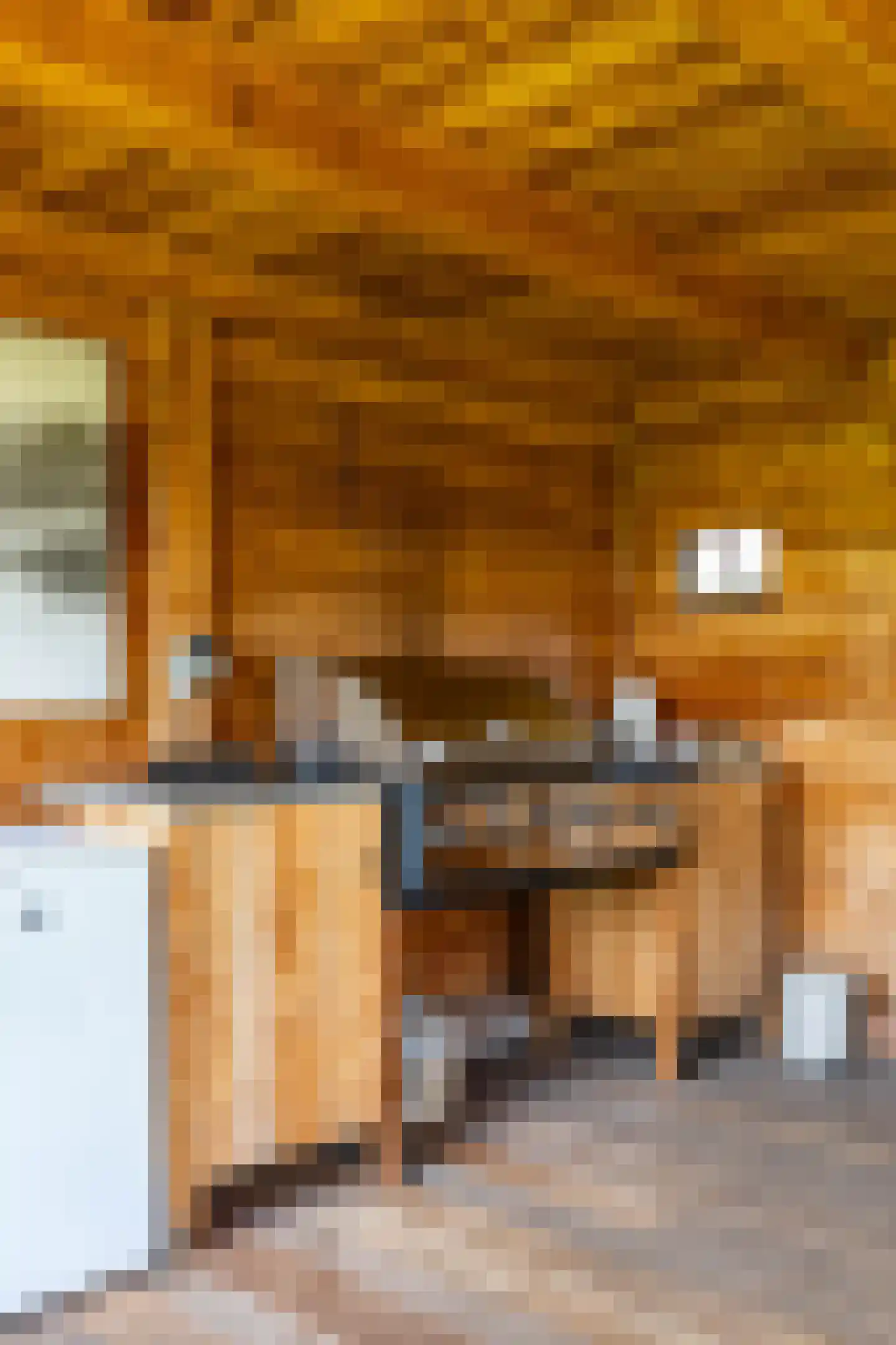 Veenmoslaan 7 Nieuw-Buinen thumbnail 66
