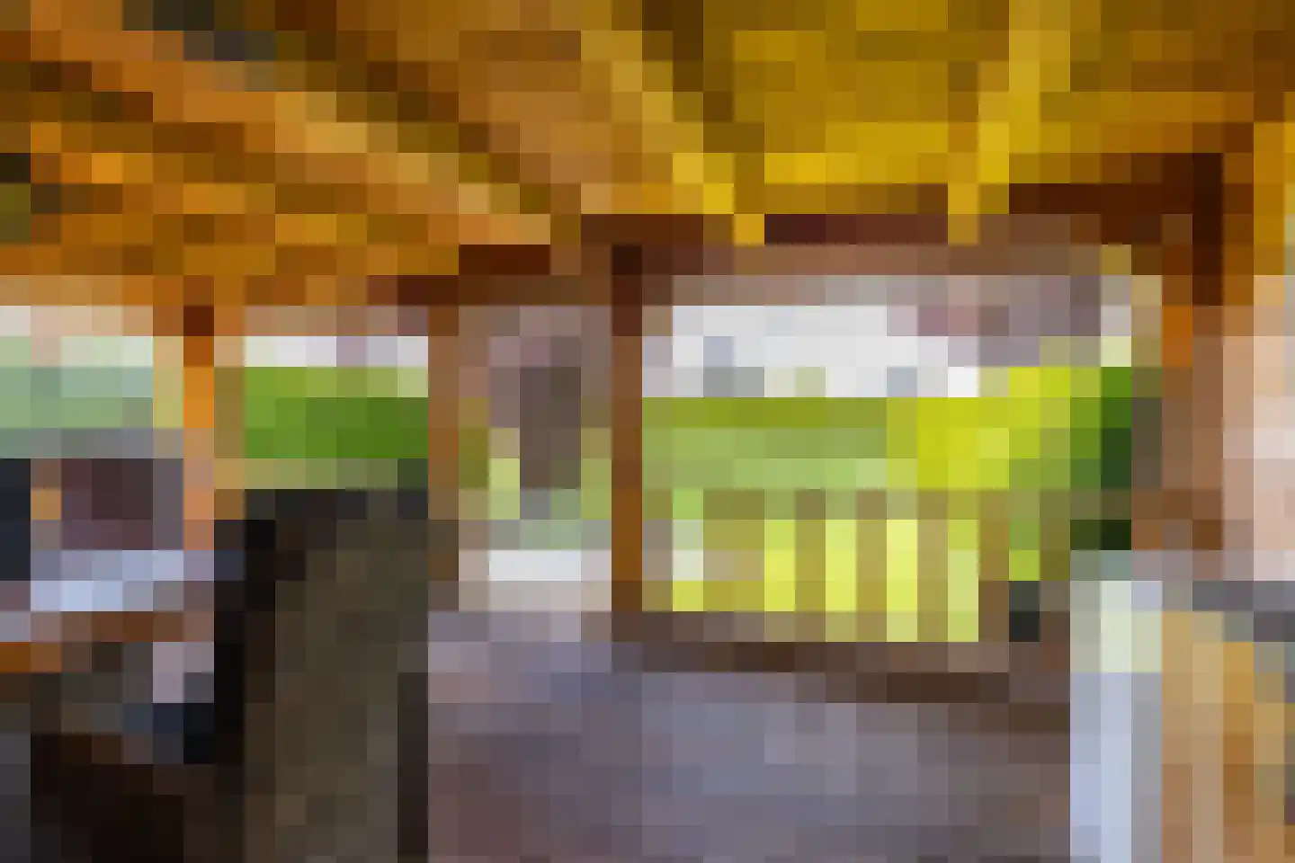 Veenmoslaan 7 Nieuw-Buinen thumbnail 67