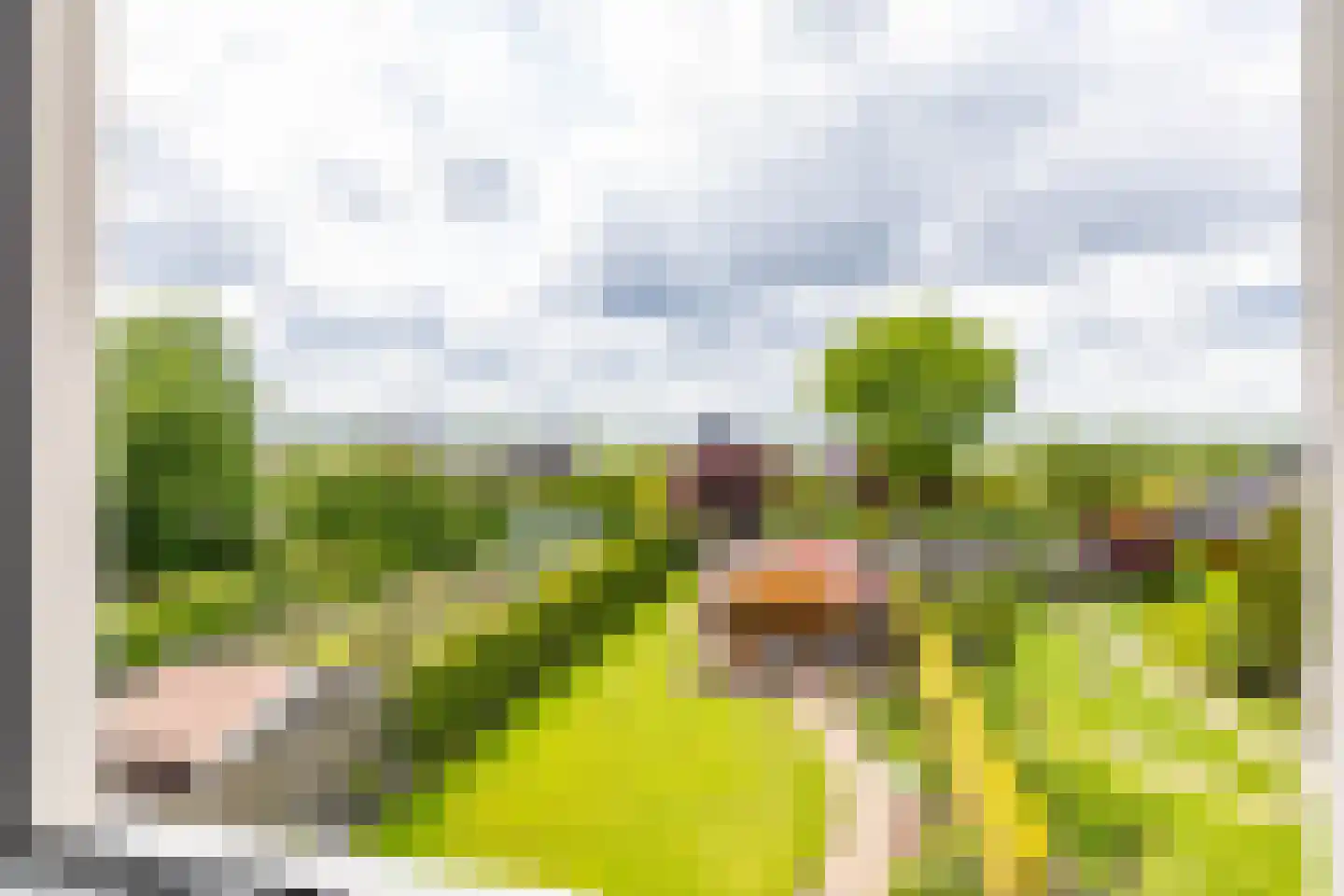 Veenmoslaan 7 Nieuw-Buinen thumbnail 69