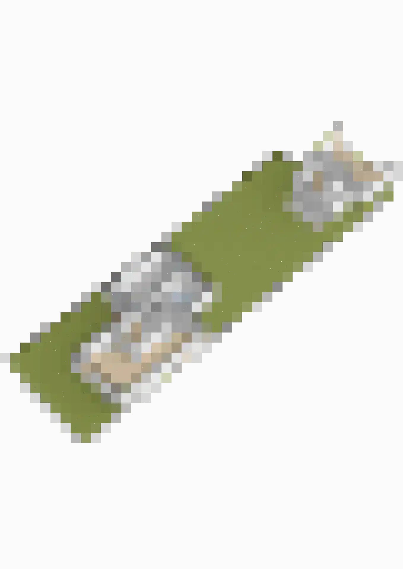 Veenmoslaan 7 Nieuw-Buinen thumbnail 79