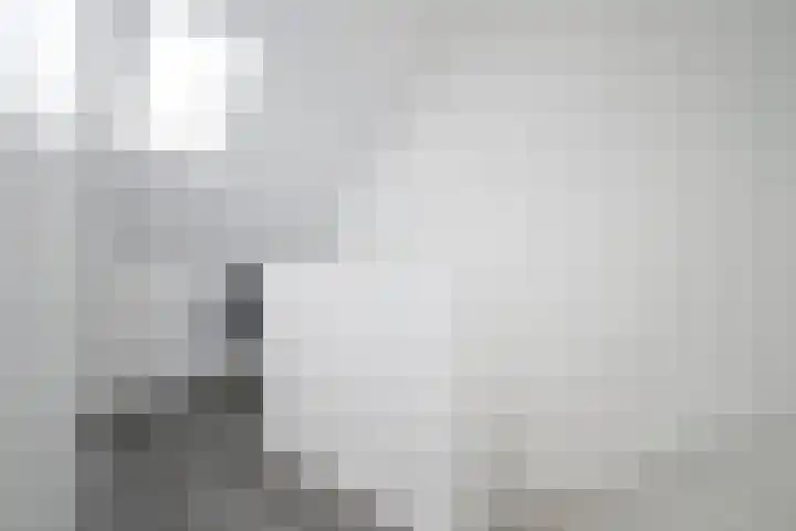 Veenmospad 4 Almere thumbnail 20