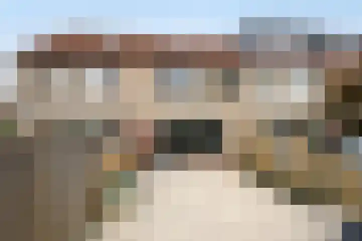 Veenmospad 4 Almere thumbnail 25